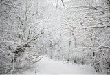 Winter Forest Snow Scene Christmas Backdrops MA-5