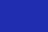 Royal  Blue Backdrop Solid Color Photography Background for Studio SC42