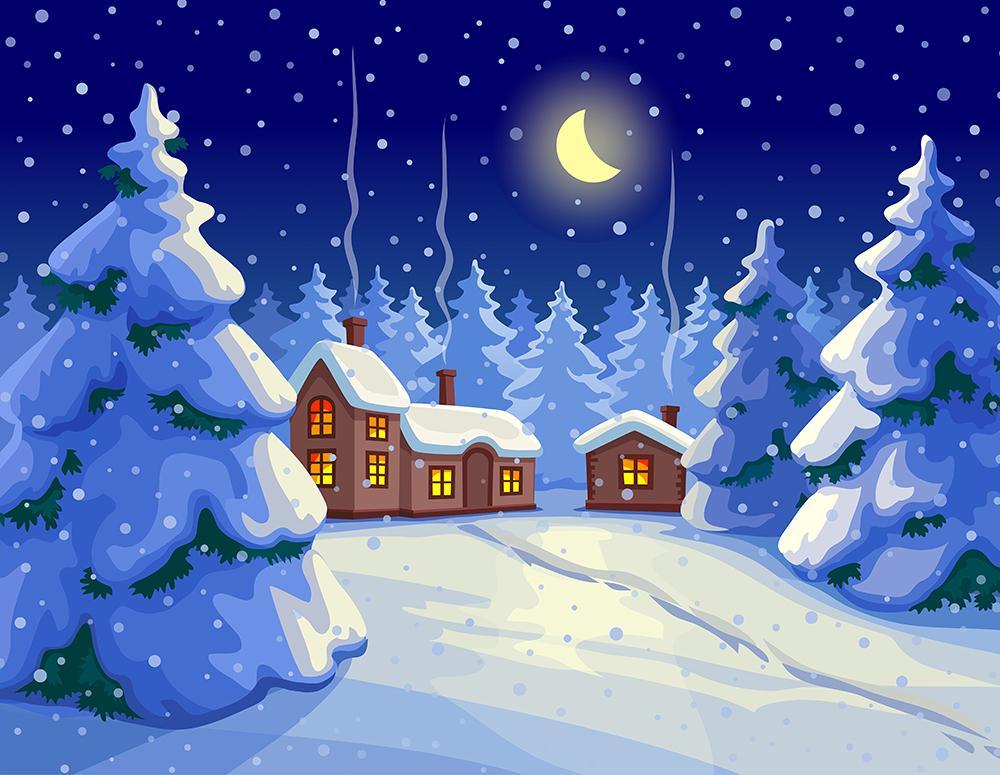 Cartoon Night Xmas Tree Snow Backdrop for Photography  DBD-19406