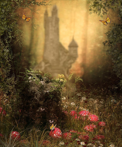 Castle Butterfly Background Children Photography Backdrops IBD-19347