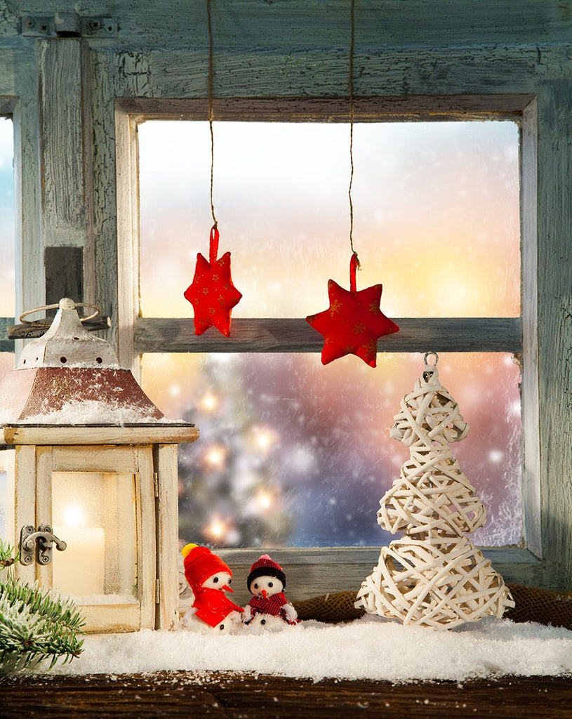 Christmas Windows Star Backdrop for Photography DBD-19294