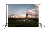 Paris Eiffel Tower City Landscape Backdrop for Photography D119