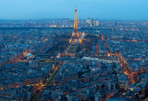 Eiffel Tower Night Paris City Landscape Backdrop for Photo Studio D121