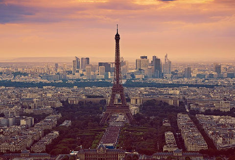 Eiffel Tower Backdrop Paris Landmark Fountain Sunset Scene Backdrop for Photos D127