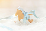 Newborn Baby Shower Wooden Horse Backdrop for Photography D275