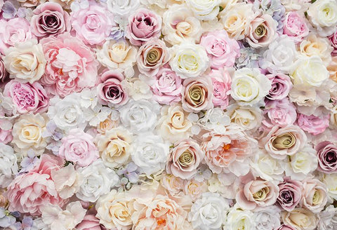 Beautiful Rose Flower Backdrop for Valentine's Day Birthday Photography D332