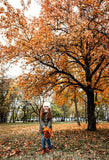 Autumn Forest Yellow Leaves Photography Backdrop D348