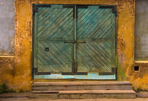 Large Wooden Green Gate  Warehouse Backdrop for Photography D415