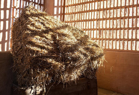 Barn Straw Hay  Sunshine Farm Photography Backdrop D416