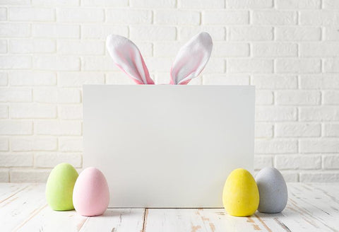 Easter Bunny Eggs White Wall Backdrop for Photography D468