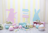 Easter Eggs Bunny Happy Easter Photography Backdrop SH560