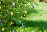 Easter Eggs Green Leaves Photography Backdrop SH565