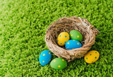 Easter Eggs Green Grass Photo Studio Backdrop SH567