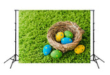 Easter Eggs Green Grass Photo Studio Backdrop SH567