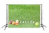 Spring Green Grass Easter Eggs Photo Booth Backdrop SH575