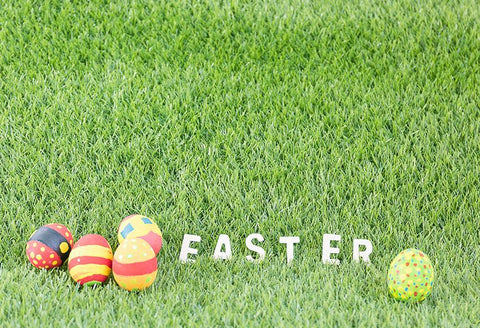 Spring Green Grass Easter Eggs Photo Booth Backdrop SH575