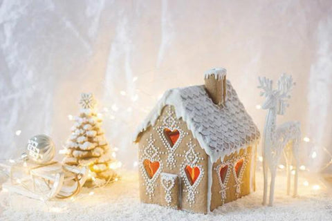 Gingerbread House Christmas Trees Photography Backdrop D666