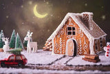 Christmas Winter Gingerbread House Snow Backdrop for Photo Booth D672