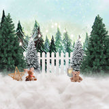 Christmas Tree Fence Winter  Family Photoshoot Backdrop