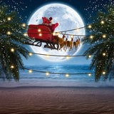 Fondo-de-Navidad-de-Papá-Noel-con-árbol-tropical-junto-al-mar-D914