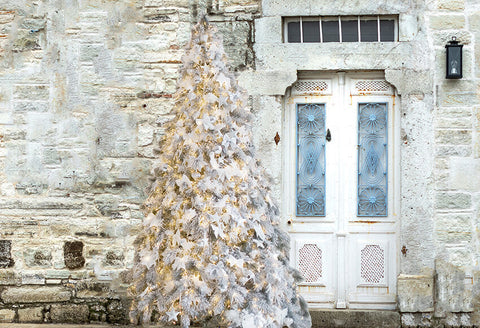 Stone House Door Christmas Tree Backdrop