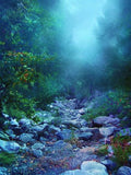 Night Forest Fog Stone  Backdrop for Photography F-166