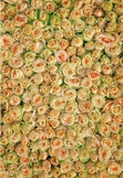 Yellow Floral Flowers Backdrop for Photography F-2406