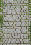 Stone Pathway With Grass Backdrop for Photo Studio F-383