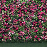 Telón de Fondo de Pared de Flores Reales para Decoración de Fiestas G-030