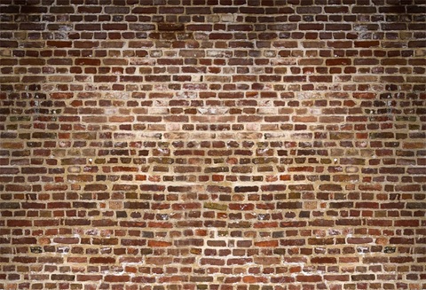 Vintage Brick Wall Photography Backdrops for Studio G-33