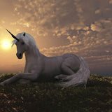  Unicorn Sunset Photo Studio Backdrop G-445