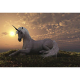  Unicorn Sunset Photo Studio Backdrop G-445