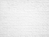 White Retro Style Brick Wall Backdrop for Party Photography G-45