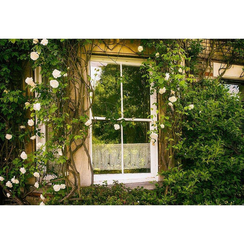 White Flowers Green Plants Door Backdrop for Studio  G-495