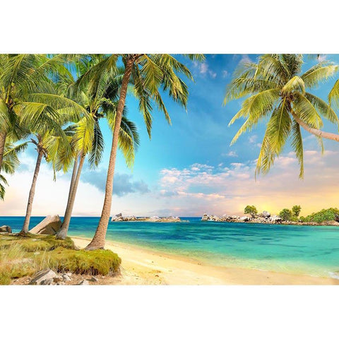 Beaches Ocean Backgrounds Beach Backdrop G-504