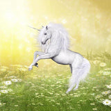 Unicorn Green Grass Flower Photo Studio Backdrop G-545