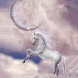 Unicorn Clouds Photography Photo Studio Backdrop G-547