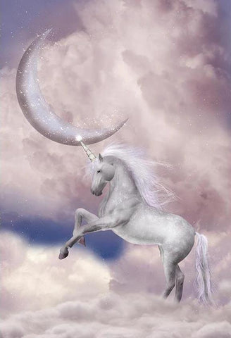 Unicorn Clouds Photography Photo Studio Backdrop G-547