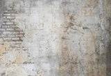 Grunge Backdrops Brick Wall Backgrounds Custom Photo Backdrops G-559