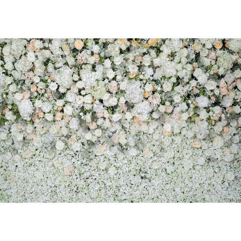 Patterned Backdrops Flower Backdrop Spring Backgrounds G-604