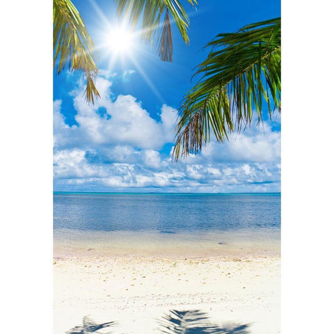 Sandy Beach Ocean Blue Sky Photo Backdrop  G-613