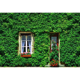 Window Door Green Plants Decoration Backdrop for Photo Studio  G-669