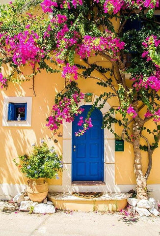 Puerta Hermosa Flores Azules Árbol Telón de Fondo para Imágenes G-671