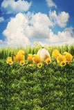 Easter Backdrop Eggs Children Green Grass Backdrop for Photos GE-030