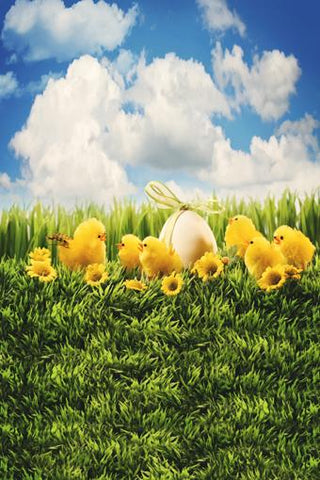 Easter Backdrop Eggs Children Green Grass Backdrop for Photos GE-030