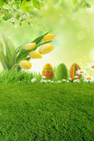 Easter Eggs Green Grass Photo Studio Backdrop GE-056