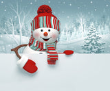 Winter Backdrops Snowman Background Snowy Backdrop HJ02698