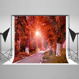 Autumn Red Yellow Leaves Forest Tree Road Photo Backdrop HJ03456