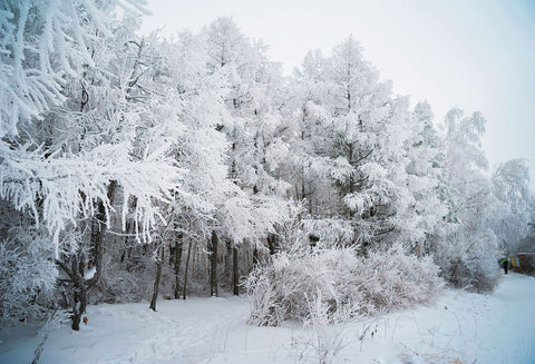 Season Backdrops Winter Backdrops Snowy Backgrounds