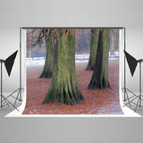 Season Backdrops Autumn Backdrops Tree Backgrounds